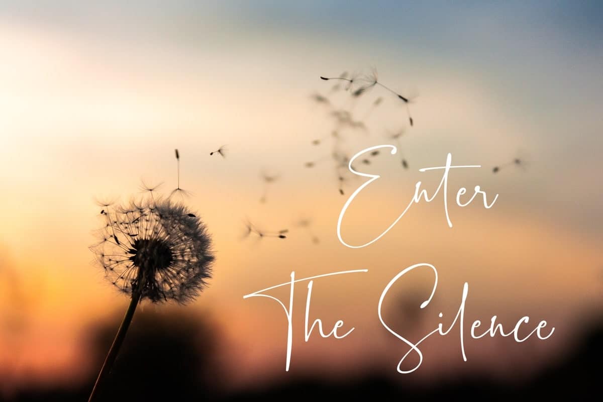 Entering the Silence Banner image with dandelion blowing in the breeze